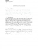 Culturas milenarias del ecuador