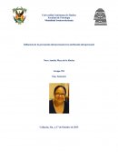 Influencia de la percepción interpersonal en la atribución intrapersonal.