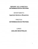 Determinancion de Proteinas