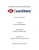 CASO INTEGRADOR COOPER TIRE & RUBBER COMPANY