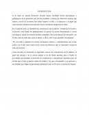 El niño como sujeto social