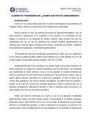 Alimentos transgénicos: ¿Sabes qué estás consumiendo?