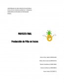 Los sistemas de gestión de la inocuidad han ido en auge en los últimos años