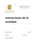 Interacciones de la sociedad.