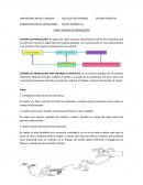 TEMA: SISTEMAS DE PRODUCCIÓN