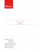 ÉTICA PROFESIONAL INFORME N°2