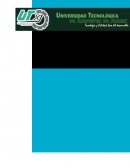 AUTOMATIZACION DE ACCESO VEHICULAR