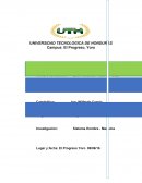 Analice un sistema Hombre-Máquina de su vida cotidiana y describa: ¿Qué tipo de sistema es?