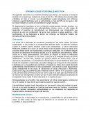 Estrongiloidoasis revision