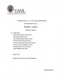 Actividad empresarial. Cupcakes veganos