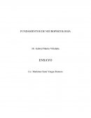 Fundamentos de neuropsicologia