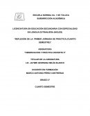 REFLEXION DE LA PRACTICA.