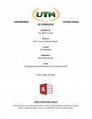 Comparaciones entre Microsoft Excel y Microsoft Access.