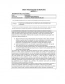 Brief Investigación