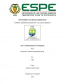METODOLOGIA DE LA INVESTIGACION.