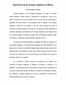 Importancia de las lenguas indígenas en México