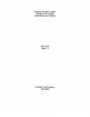 Enayo de recursos humanos