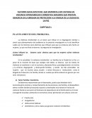 Factores socio afectivos