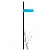 INFORME VIDEO CONFERENCIA CARLOS KASUGA