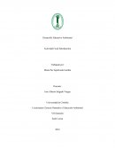 Como solucionar problemáticas ambientales