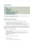 Metodología de Sistemas.
