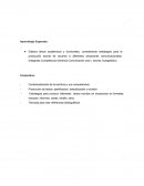 Estrategias para la producción de textos formales.