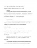 Practica balance masico.