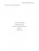 LA EDUCACION SUPERIOR. Aprendizaje de la Sociedad de la Información