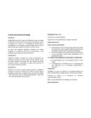 Guía de orientación al trabajo Amiguísimo