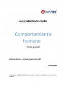 Tarea grupal Comportamiento humano