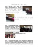 Descripcion de la acicon.