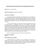 CAMPAÑA PUBLICITARIA PARA PROYECTO DE RESPONSABILIDAD SOCIAL