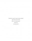 Introducción a la gestión y manejo de residuos industriales