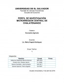 PERFIL DE INVESTIGACIÓN MICRORREGIÓN CENTRAL DE CHALATENANGO