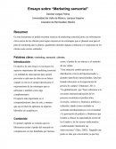 Ensayo sobre “Marketing sensorial”