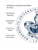 Nutricion INTERRELACIONES METABÓLICAS