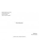 Plan de observación