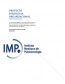 PROYECTO PSICOLOGIA ORGANIZACIONAL.