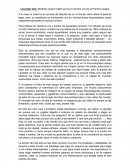 Leicester City: Modesto equipo Inglés que es el número uno de la Premier League