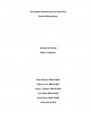 Análisis de Película Made in Dageham.