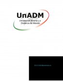 El presupuesto de mercadotecnia.