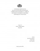 Yepes Stork. Tecnica y mundo humano. Ensayo escrito