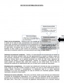 SECTOR DE DISTRIBUCIÓN DE ROPA