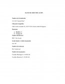 INSTRUMENTO UTILIZADO PARA DETERMINAR EL DIAGNÓSTICO