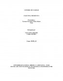 CONTROL DE CALIDAD FASE FINAL MOMENTO 4