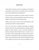 Ensayo campo organizacional