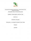 Este informe está enfocado a presentar de manera precisa y clara una interpretación sobre la historia de Juppa y Cuachirindoo