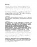 Agrotecnia Practicas