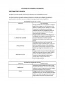 Actividades del desarrollo psicomotriz