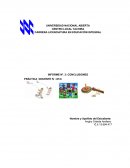 La fase III de la Práctica Docente IV está orientada a que el estudiante UNA desarrolle funciones de acción docente